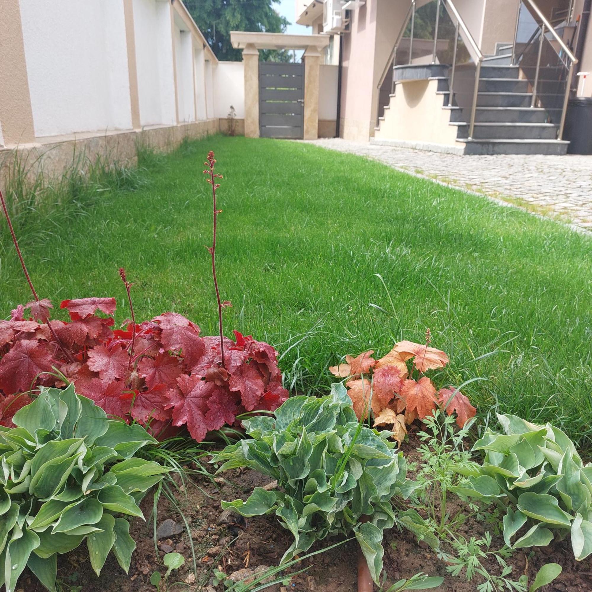 Stella Guesthouse Sapareva Banya ภายนอก รูปภาพ